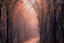 蜂鸟电竞官网：欧冠夺冠赔率：巴萨逼近皇马 黑马维拉跻身前10.