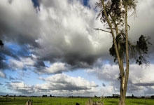 懂球译站｜苦苦扛起热刺的“亚洲一哥”，能否陪球队重回巅峰？.