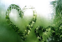 刚提的新车！曼联新星海文伤势冲淡胜利喜悦.