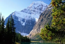 乒坛最萌反差兄弟：王楚钦没头脑VS樊振东不高兴!.