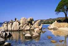 [CBA]常规赛12月1日：深圳VS辽宁 赵继伟集锦.